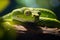 Head of Green Python Snake Wild Animal Looks Fierce in Tree Branch on Bright Day