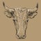 Head of horned bull vector illustration brown