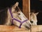 The head of a horse looks out onto the street from a wooden stall