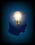 Head, intelligence, smart and light bulbs