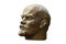 Head of Lenin