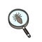 Head lice under magnifying glass illustration