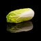 Head of lying chinese Peking cabbage