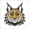 Head of lynx isolated on white - mascot logo.