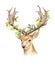 The head of a male deer with horns and woven branches of a tree. Isolated background. Boho template to design posters