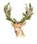 The head of a male deer with horns and woven branches of a tree. Isolated background. Boho template to design posters