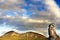 Head of moai with mountain