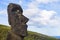 The head of a Moai statue