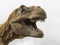 Head model of a Tyrannosaurus rex T-rex