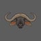 Head of muskox, portrait of wild animal hand drawn vector Illustration