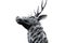 Head of a noble and beautiful and traditional british Deer Stag bronze, or alloy statue or sculpture cut out against a white