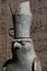 The head of one of the granite statues of a falcon at the Temple of Horus in Edfu, Egypt.