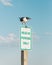 Head In Parking Only sign with bird, on Chincoteague Island, Virginia