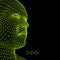 Head of the Person from a 3d Grid. Human Head Wire Model. Human Polygon Head. Face Scanning. View of Human Head. 3D Geometric Face