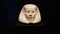 Head of pharaoh, Egyptian Museum