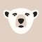 Head polar bear, vector illustration, flat style, front