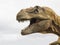 Head profile of a Tyrannosaurus rex T-rex model