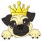 Head of pug with crown