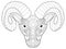 Head ram coloring vector for adults