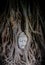 Head of Sandstone Buddha overgrown by Banyan Tree