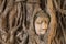 head of sandstone buddha tree roots covered at Wat Mahathat, Ayutthaya, Thailand