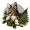 The head of a Serval cat looks away round composition of flowers and leaves of a Magnolia and a branch of a fern