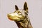 The head of a shepherd dog breed made of yellow bronze with a polished nose  on a light background. Sculpture