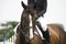 Head-shot of a show jumper horse during competition with jockey