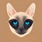 The head of a Siamese cat with blue eyes. Stylized cat image. Digital illustration based on render by neural network