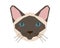 The head of a Siamese cat with blue eyes. The stylized face of a thoroughbred kitty. Vector illustration in a flat style