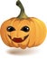 Head of smiled Halloween pumpkin