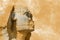 Head Sphinx egyptian aquarelle grunge background