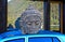 Head, stone torso of a Bhuddist prince