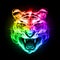 Head of tiger in colorful fire.