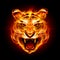 Head of a tiger in flame