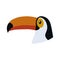 The head of a toucan bird. Tropical bird is a family of birds, the order woodpeckers.