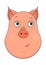 Head of trusting pig in cartoon style. Kawaii animal.