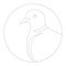 Head turtledove, vector illustration, lining draw ,profile