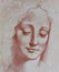 Head of woman, illustrated in a vintage book,  Leonard de Vinci, Eugene Muntz, 1899, Paris