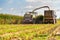 Header harvesting fodder corn mass, pouring into truck body