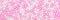 Header, pink and white sugar pearls or nonpareille background