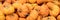 Header, Pumpkin or squash background, orange Cucurbita pepo