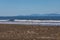 Heading out into the surf off Paekakariki Beach in New Zealand