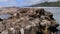 Headland between Botany Bay and Botanical Beach at Juan De Fuca Provincial Park, near Port Renfrew, British Columbia