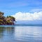 Headland, trees, and pier or jetty on a blue ocean. Beach in Argentario, Tuscany, Italy