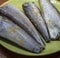 Headless raw hake fishes on plate