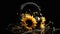 Headphones and sunflowers on a black background, generative AI.