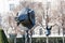 Heads of animal monkeys and a pig in the square near the Belvedere Palace