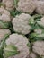 heads of fresh cauliflower on the counter