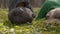 Heads of tired couple laying on the ground in the forest